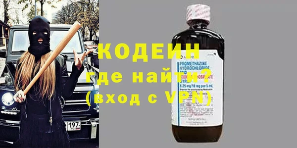 хмурый Верея