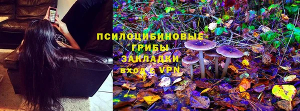 хмурый Верея