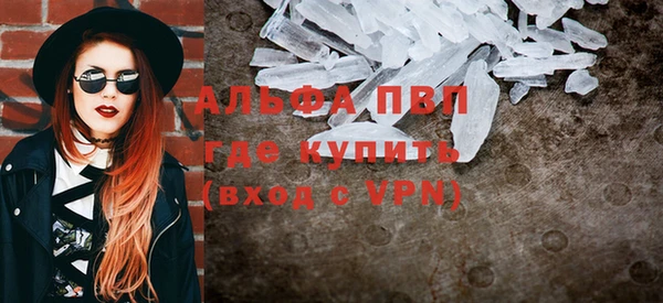 хмурый Верея