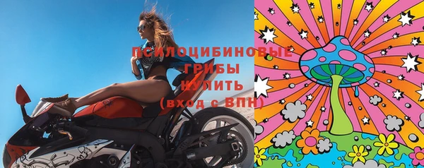хмурый Верея
