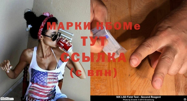 хмурый Верея