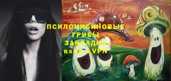 хмурый Верея
