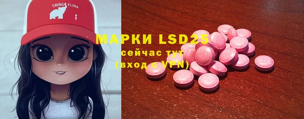 хмурый Верея